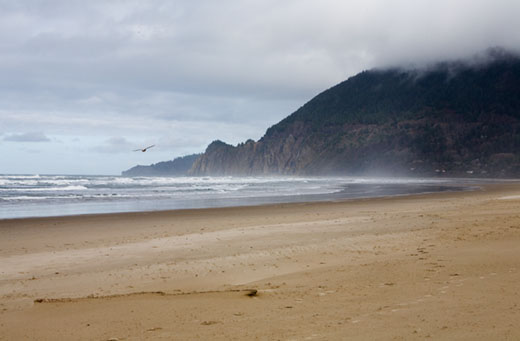 _mg_2308_070327Oregon